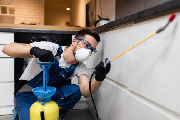 Best Mosquito Control Services  in Powell, WY