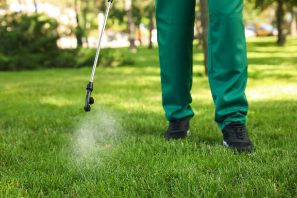 Best Exterminator Services  in Powell, WY