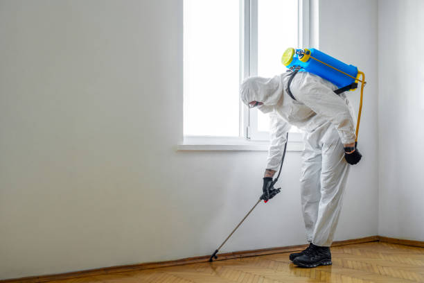 Best Ant Control Services  in Powell, WY
