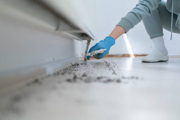 Best Wildlife Control Services  in Powell, WY